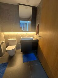 Jervois Treasures (D10), Apartment #588855751